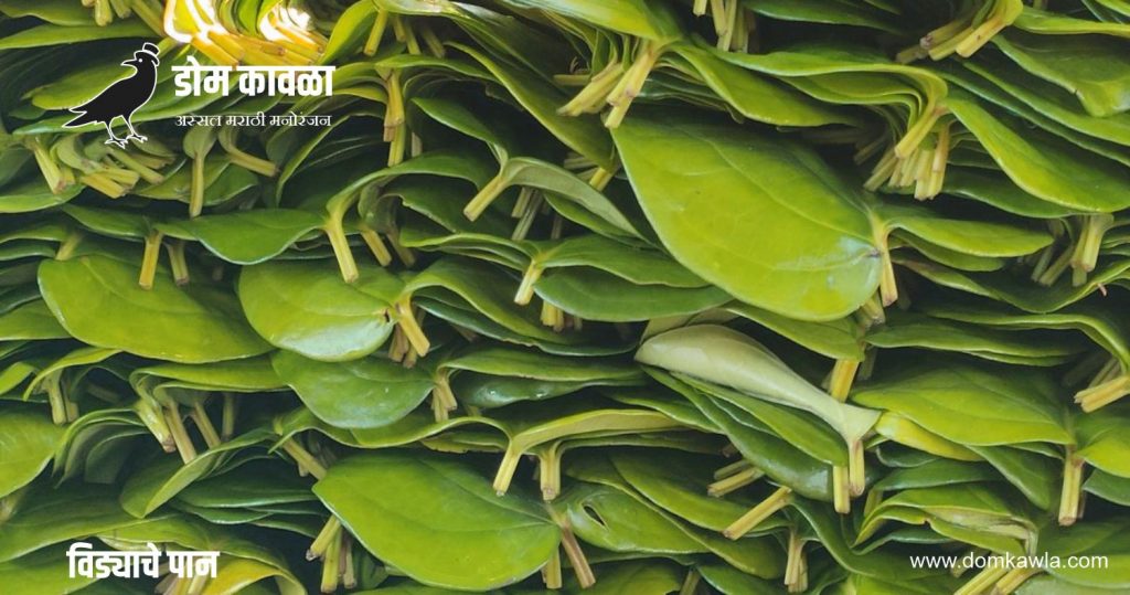 betel-leaves-in-marathi-domkawla